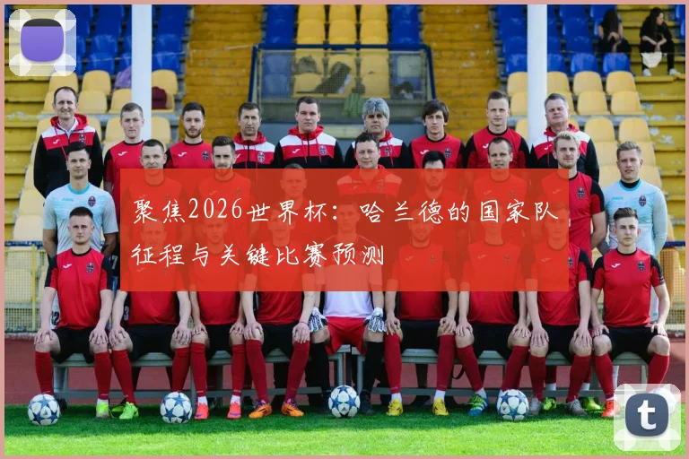 聚焦2026世界杯：哈兰德的国家队征程与关键比赛预测